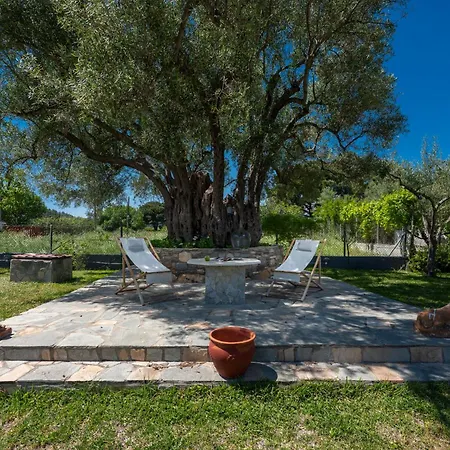 Pagiantes * Agios Nikolaos (Chalkidiki)